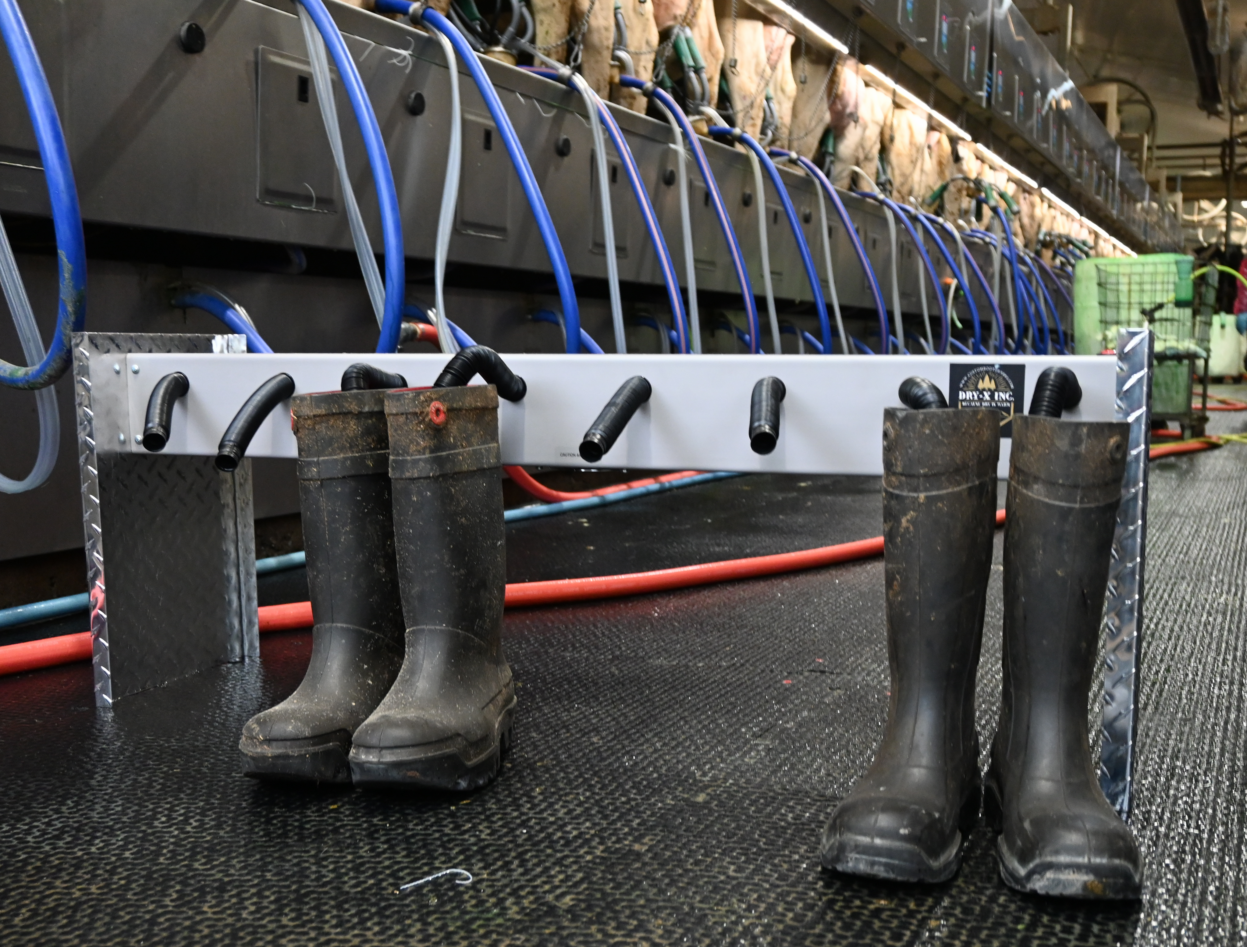 CDS Boot Dryer - Image 3