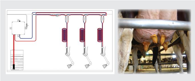 TEAT FOAM SYSTEM, Wall Mount, For pre-mix products - Image 2