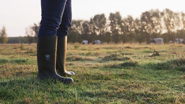 BEKINA STEPLITEX SOLIDGRIP BOOT without safety toe cap, Green - Image 2